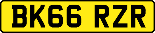 BK66RZR