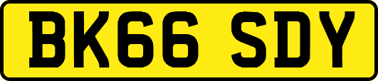 BK66SDY