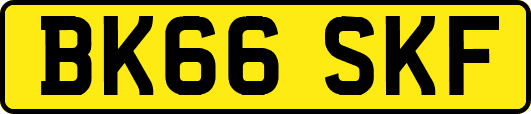 BK66SKF