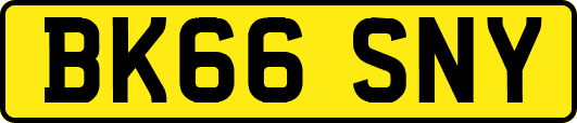 BK66SNY