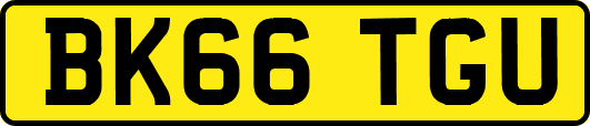 BK66TGU