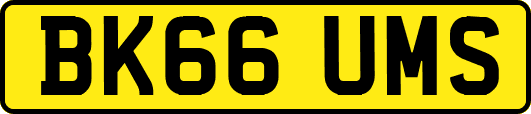 BK66UMS