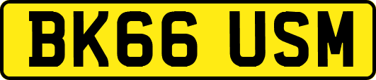 BK66USM