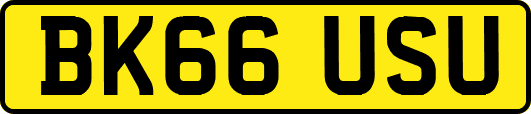 BK66USU