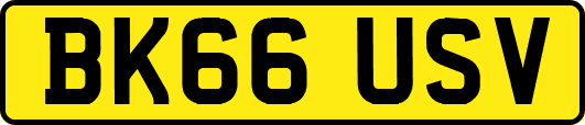 BK66USV