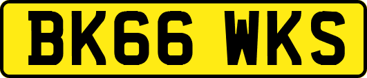 BK66WKS