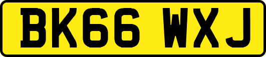 BK66WXJ