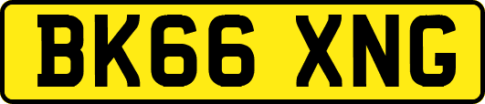 BK66XNG