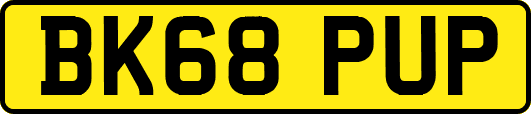 BK68PUP