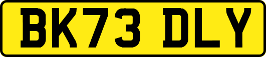 BK73DLY