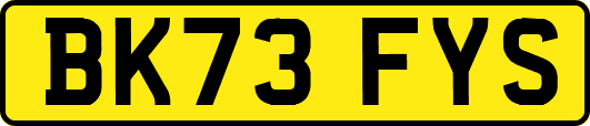 BK73FYS