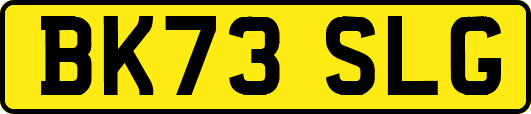 BK73SLG