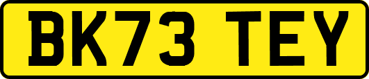BK73TEY