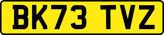 BK73TVZ