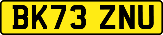 BK73ZNU