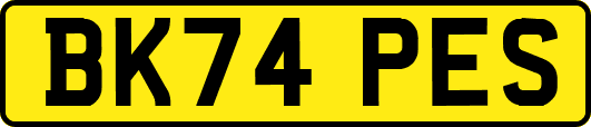 BK74PES