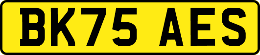 BK75AES