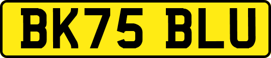BK75BLU