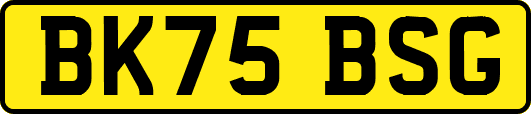 BK75BSG
