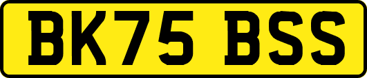 BK75BSS