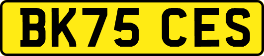 BK75CES