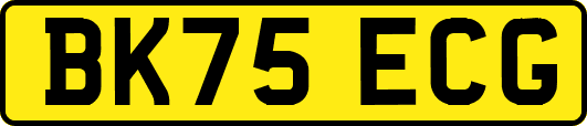 BK75ECG