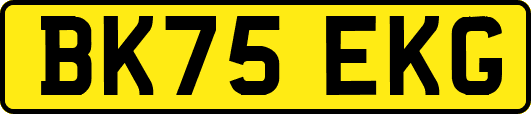 BK75EKG