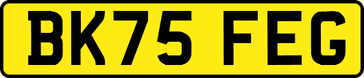BK75FEG
