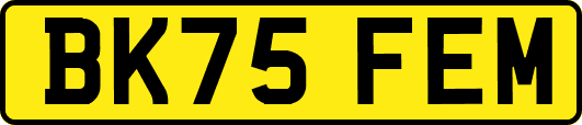 BK75FEM