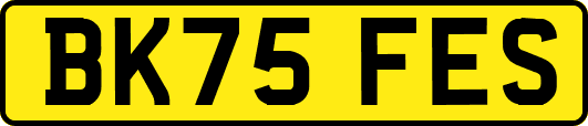 BK75FES