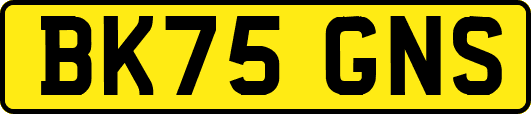 BK75GNS