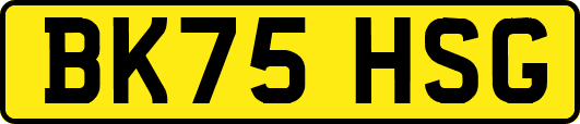 BK75HSG