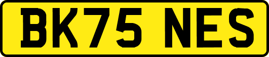 BK75NES
