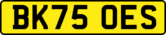 BK75OES