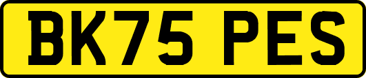 BK75PES