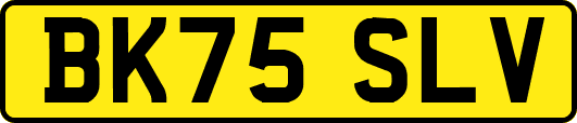 BK75SLV