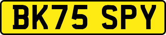 BK75SPY