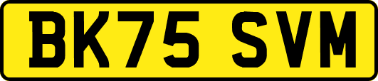BK75SVM
