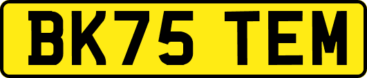 BK75TEM