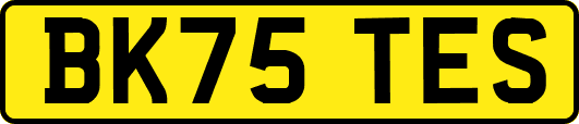 BK75TES