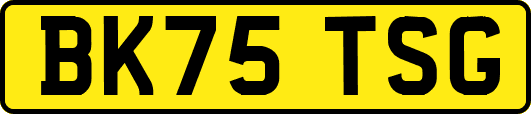 BK75TSG