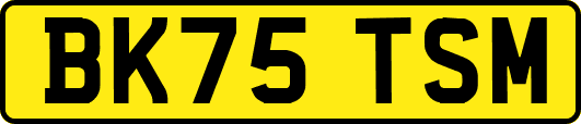 BK75TSM