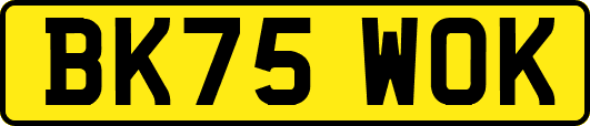 BK75WOK