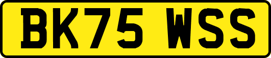 BK75WSS
