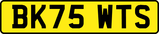 BK75WTS