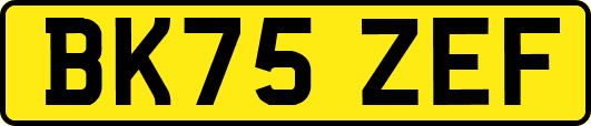 BK75ZEF
