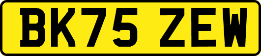 BK75ZEW