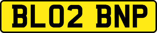 BL02BNP