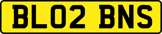 BL02BNS
