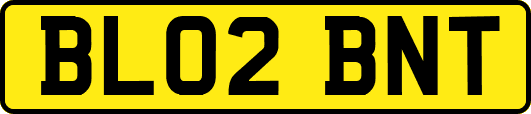BL02BNT